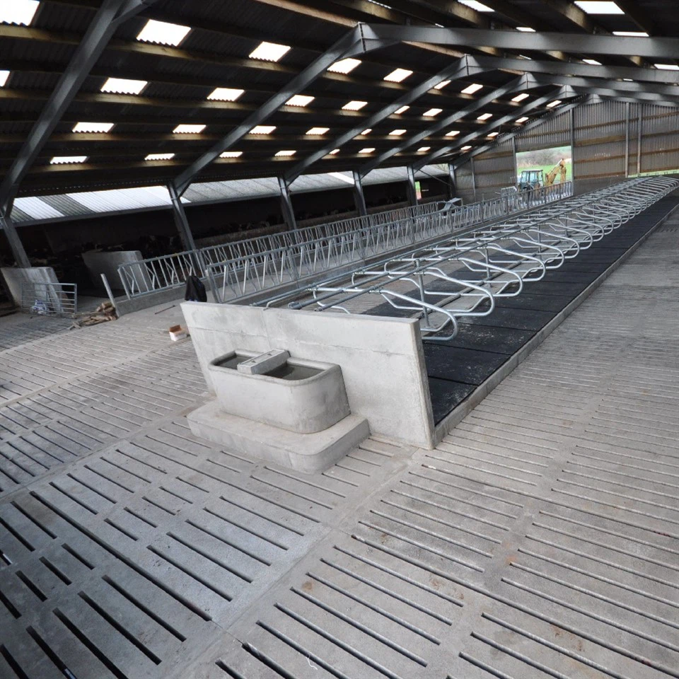 Prefabricated Cow Barns