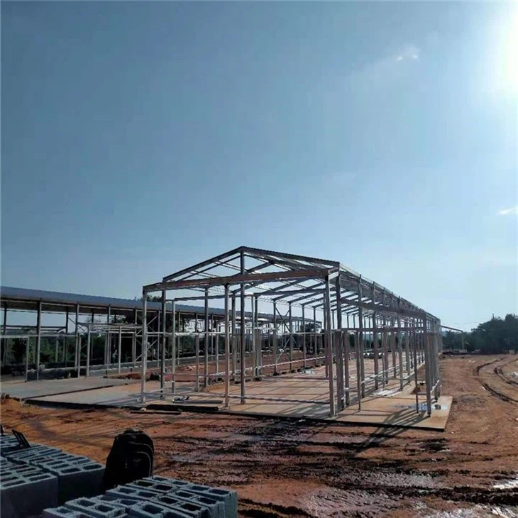 Prefab Poultry House (9)