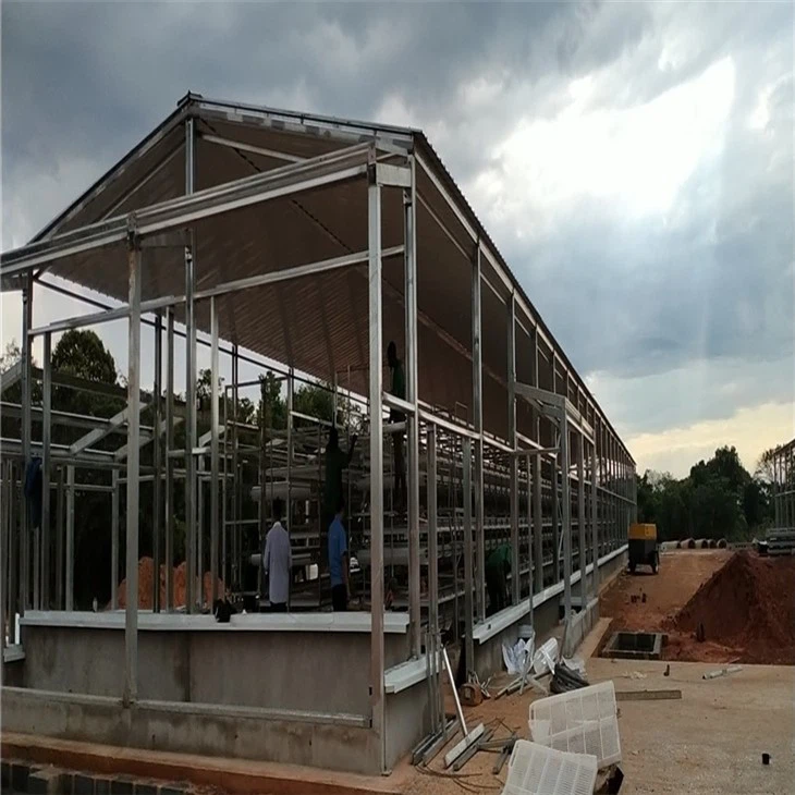 Prefab Poultry House (5)