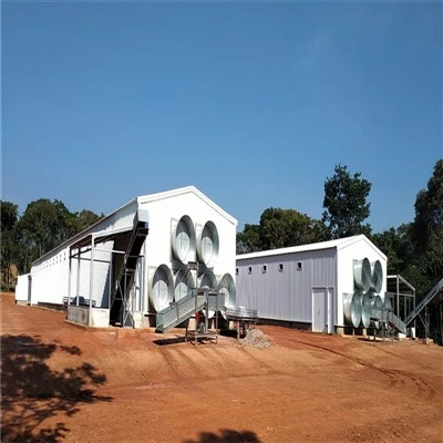 Prefabricated Steel Chicken Poultry House