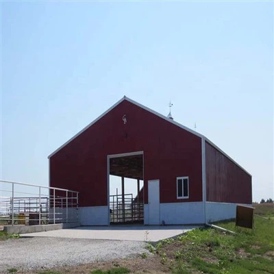 Steel Structure Dairy Farm Shed