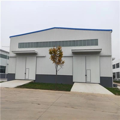 Steel Structure Factory Buildings