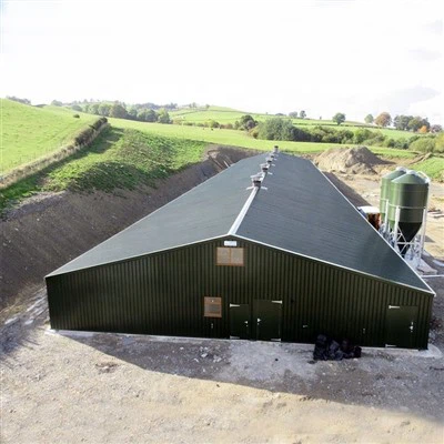 Steel Structure Poultry House Construction