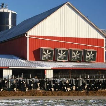 Steel Structure Calf Housing