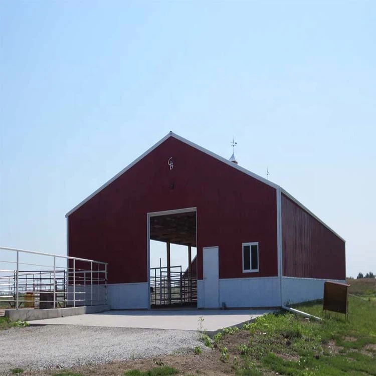 Steel Structure Dairy Farm Shed