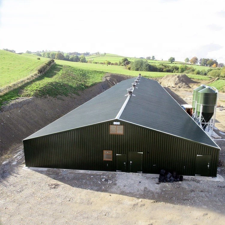 Steel Structure Poultry House Construction
