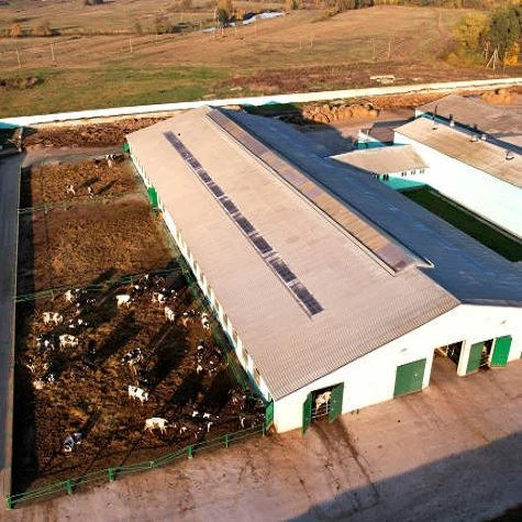 Steel Structure Prefabricated Building Cow Shed