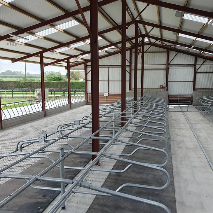 Prefabricated Steel Structure Poultry Farm House