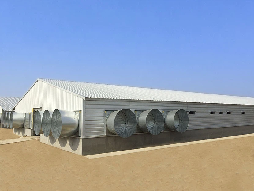2024 China High Quality Modern Broiler Equipment Poultry Shed Design Chicken Farm Steel Structure