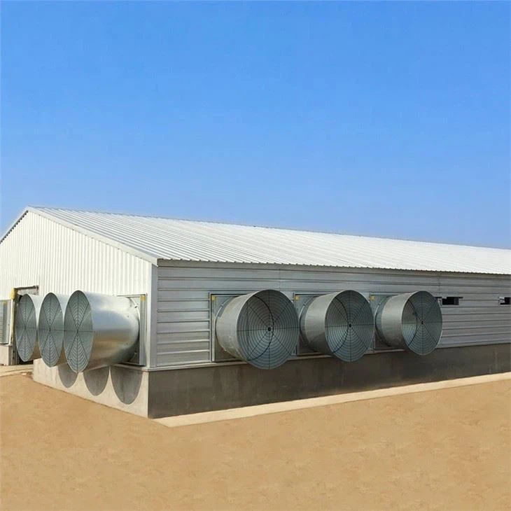 2024 China High Quality Modern Broiler Equipment Poultry Shed Design Chicken Farm Steel Structure