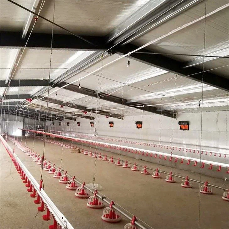 2024 China High Quality Modern Broiler Equipment Poultry Shed Design Chicken Farm Steel Structure
