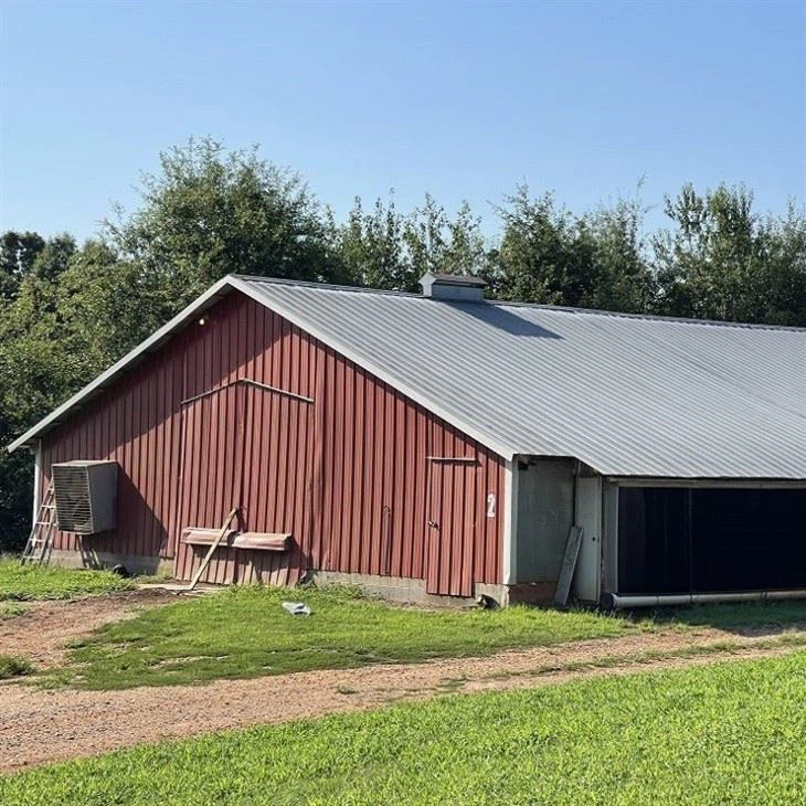 2024 China Poultry Shed Steel Structure High Quality