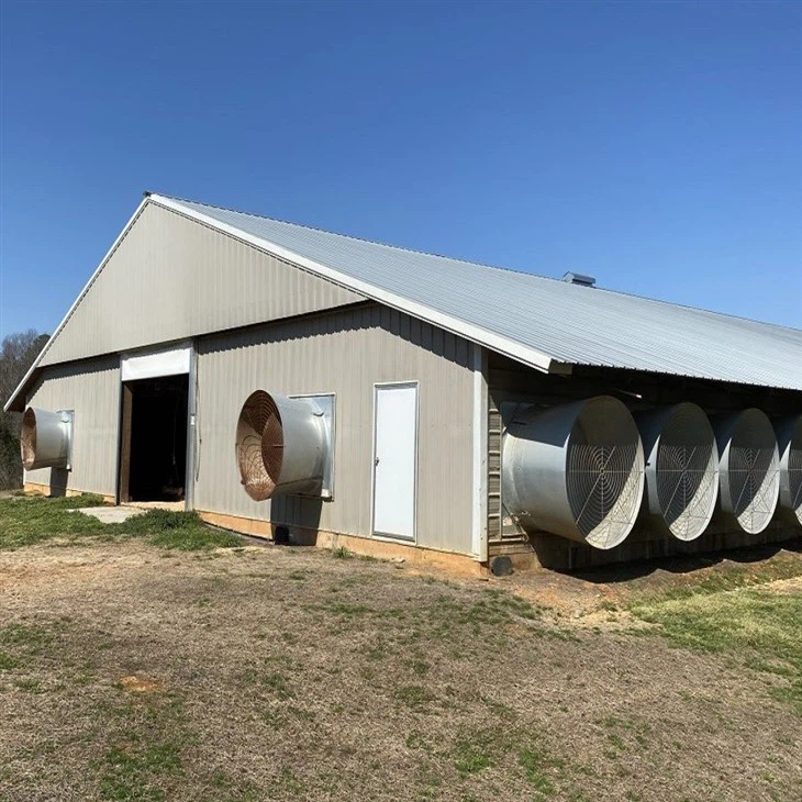 2024 China Poultry Shed Steel Structure High Quality