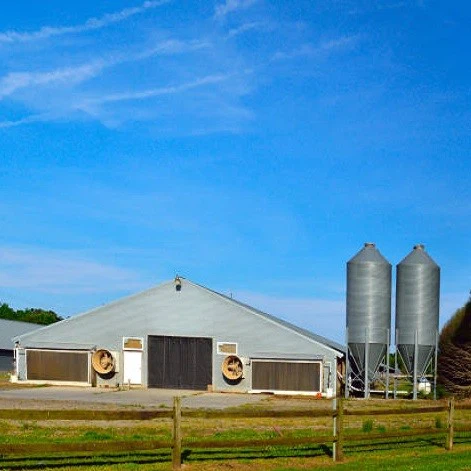 2024 China Poultry Shed Steel Structure High Quality