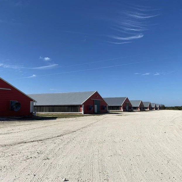 2024 China Poultry Shed Steel Structure High Quality