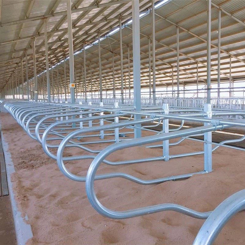China Low Cost Steel Structure Dairy Cow Farm Shed high quality
