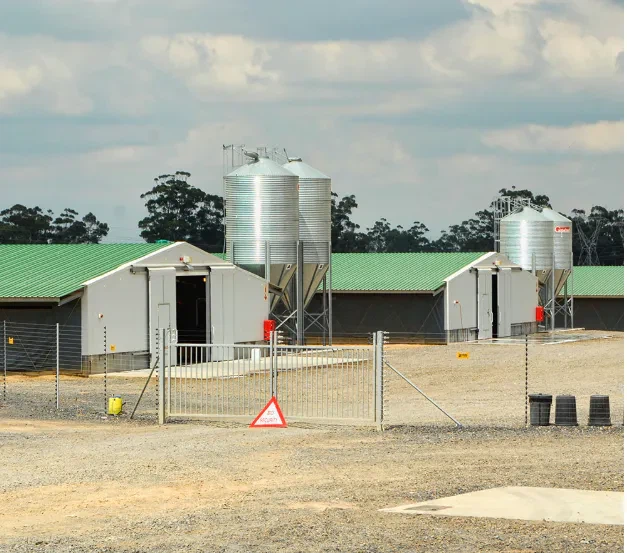 2024 China High Quality Modern Broiler Equipment Poultry Shed Design Chicken Farm Steel Structure