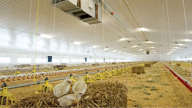 2024 China High Quality Modern Broiler Equipment Poultry Shed Design Chicken Farm Steel Structure