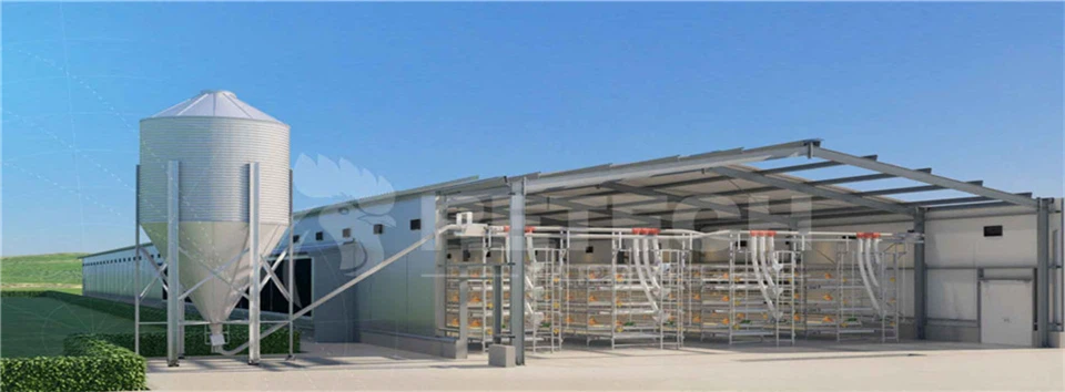 Fast Installation Chicken Coop Cheap Price High Quality Prefabricated Steel Frame Chicken House Chicken Shed