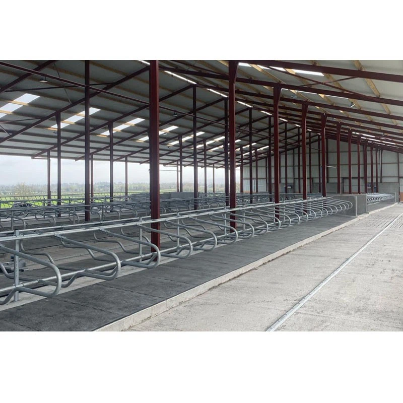 China Low Cost Steel Structure Dairy Cow Farm Shed best