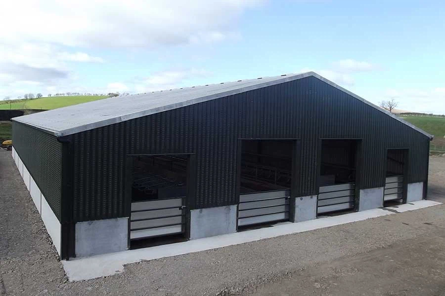 Easy Installation Cow Farm Design Light Steel Structure Cow Dairy Farm Steel Structure Cow Shed