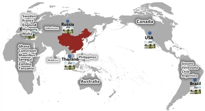 Future Growth Trend Of Ocean Freight！