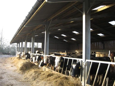 Livestock Steel Structure: Trends And Development