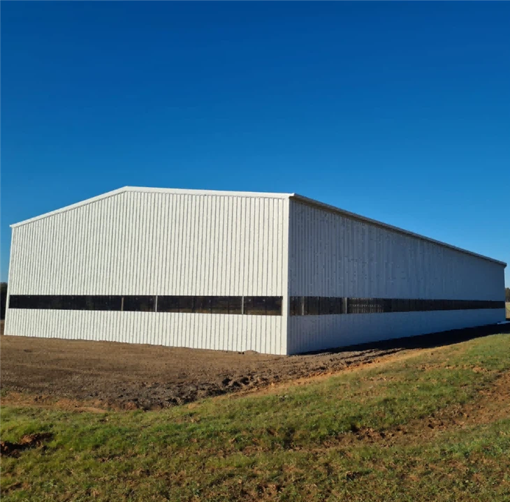 China Cheap Prices Manufactured Steel Structure Professional Warehouse