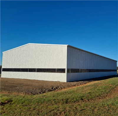 China Cheap Prices Manufactured Steel Structure Professional Warehouse