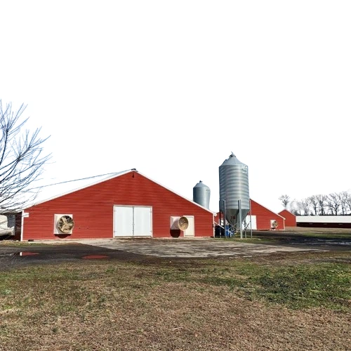 Prefabricated China Steel Structure Poultry Farm