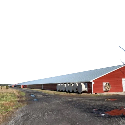 Prefabricated China Steel Structure Poultry Farm