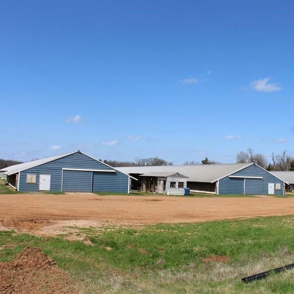 Prefabricated China Steel Structure Poultry Farm