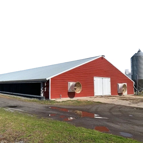 Prefabricated China Steel Structure Poultry Farm