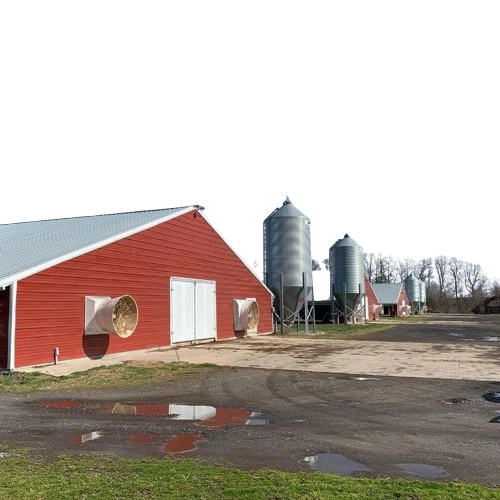 Prefabricated China Steel Structure Poultry Farm