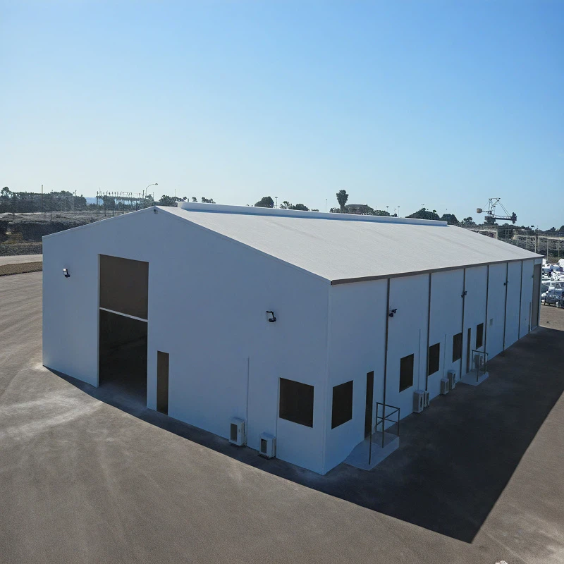 Professional Cheap Price Modern Design Steel Structure Warehouse