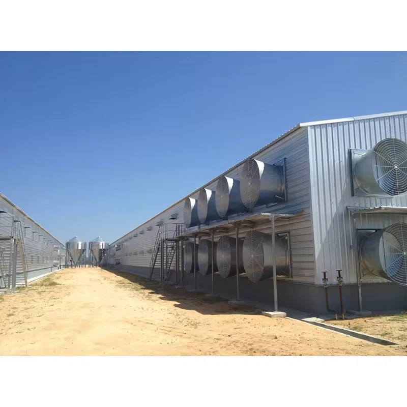 Qingdao RT Prefab Light Steel Structure Steel Structure Broiler/egg Coop