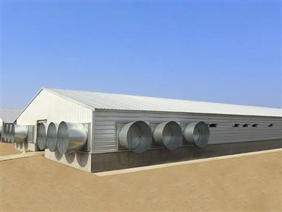 2024 China High Quality Modern Broiler Equipment Poultry Shed Design Chicken Farm Steel Structure