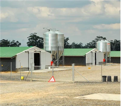 Qingdao RT Prefab Light Steel Structure Steel Structure Broiler/egg Coop