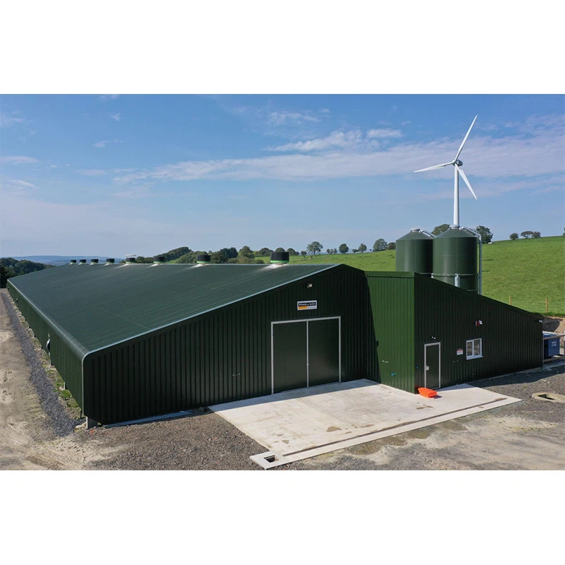 Steel Structure Chicken Farm